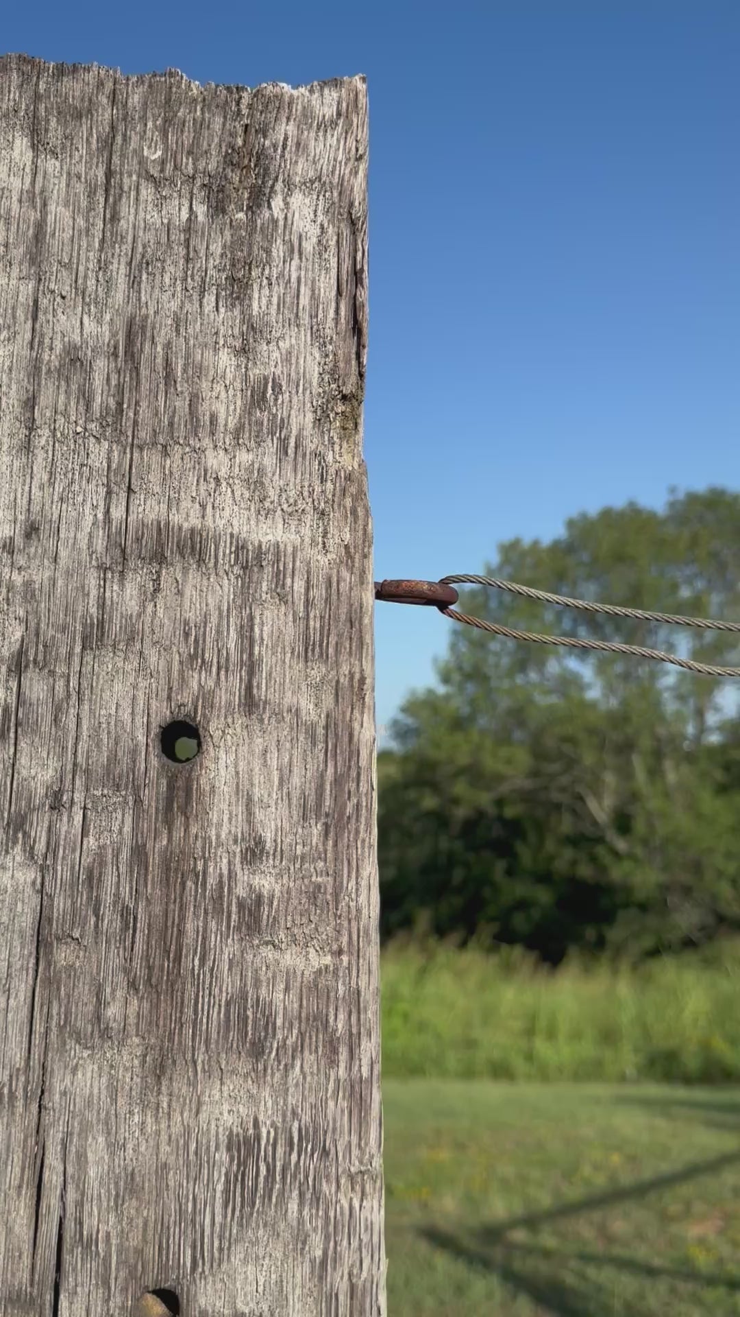 The Leeroy Arrowhead Banger